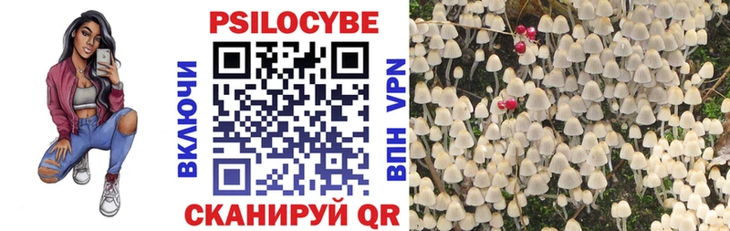Псилоцибиновые грибы прущие грибы  магазин продажи наркотиков  Инсар 